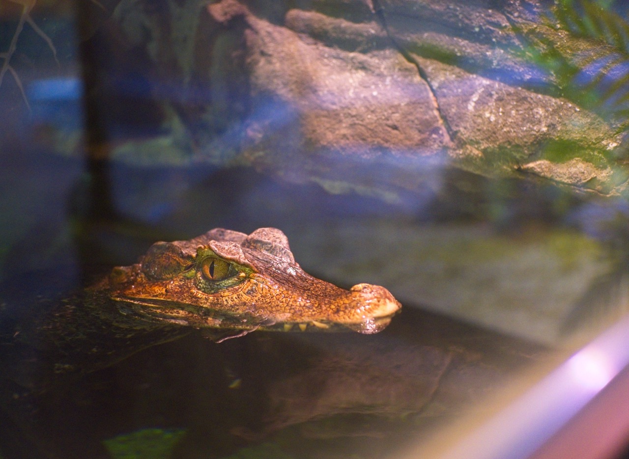 Where you lookin at?